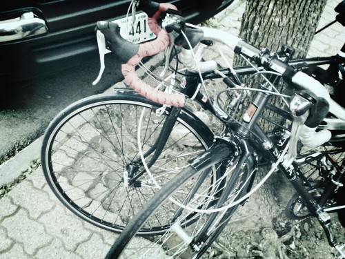All Locked Up bikes locked around a tree