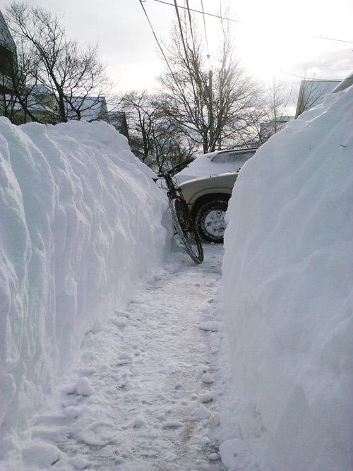 a lot of snow.